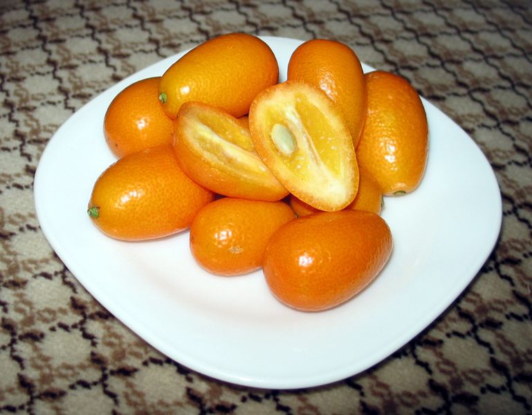 Kumquat.jpeg