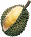 durian 1.JPG